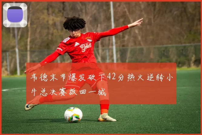 韦德末节爆发砍下42分热火逆转小牛总决赛扳回一城