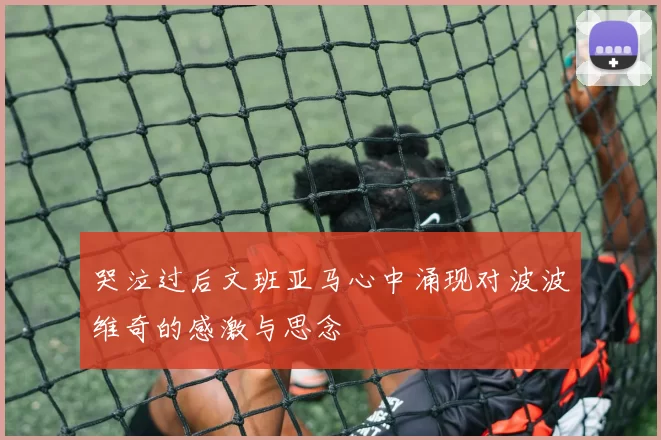 哭泣过后文班亚马心中涌现对波波维奇的感激与思念