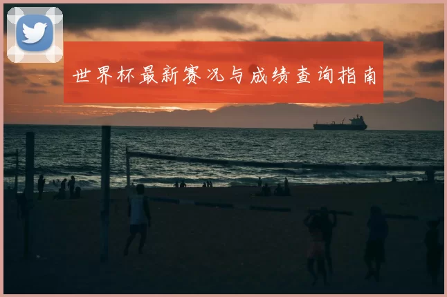 世界杯最新赛况与成绩查询指南