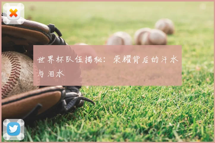 世界杯队伍揭秘：荣耀背后的汗水与泪水