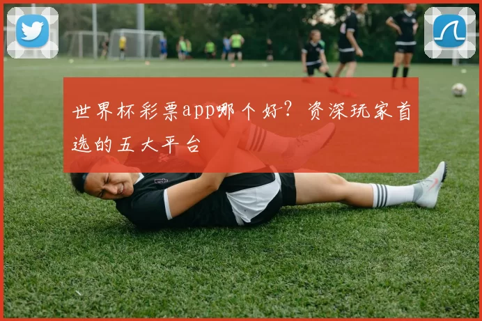 世界杯彩票app哪个好？资深玩家首选的五大平台