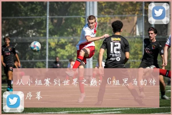 从小组赛到世界之巅:G组黑马的传奇序幕