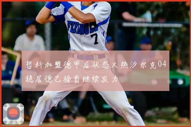 哲科加盟德甲后状态火热沙尔克04稳居德乙榜首继续发力