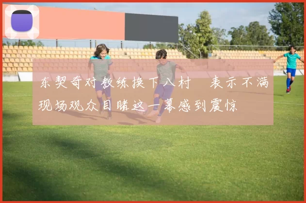 东契奇对教练换下八村塁表示不满现场观众目睹这一幕感到震惊