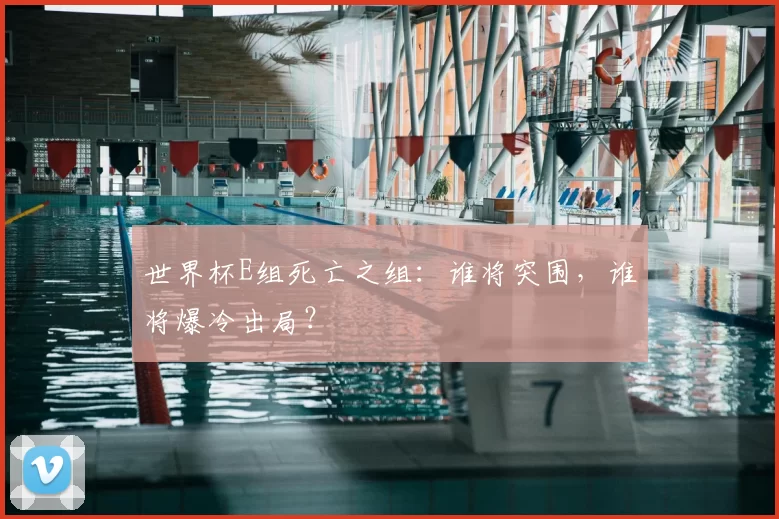 世界杯E组死亡之组：谁将突围，谁将爆冷出局？