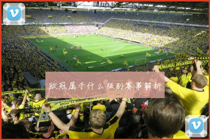 欧冠属于什么级别赛事解析