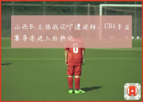 山西队主场战辽宁遭逆转，CBA季后赛争夺进入白热化
