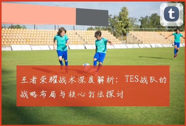 王者荣耀战术深度解析:TES战队的战略布局与核心打法探讨