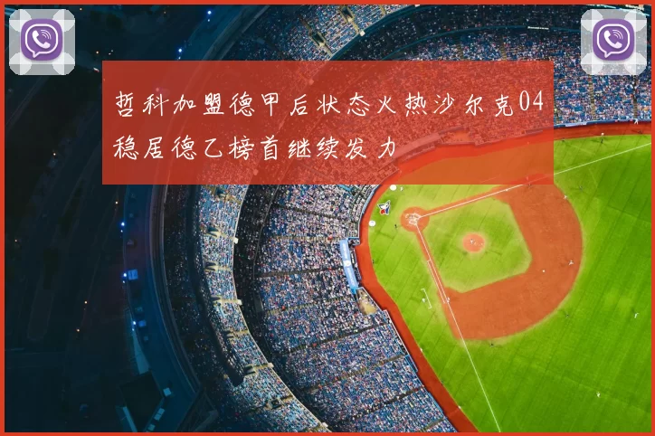 哲科加盟德甲后状态火热沙尔克04稳居德乙榜首继续发力