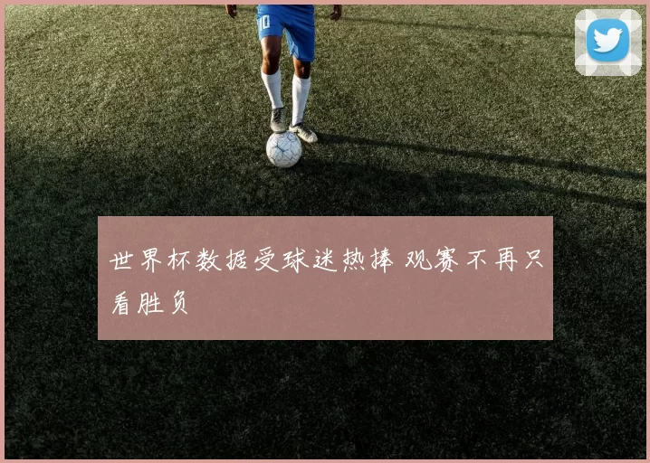 世界杯数据受球迷热捧 观赛不再只看胜负