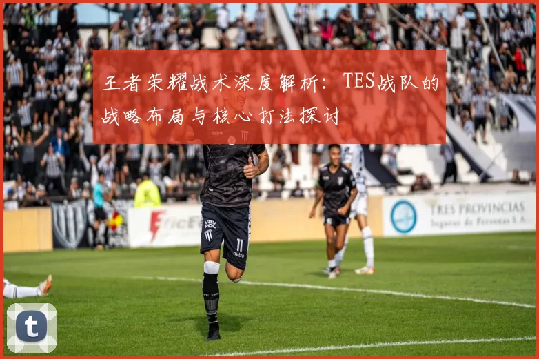 王者荣耀战术深度解析:TES战队的战略布局与核心打法探讨
