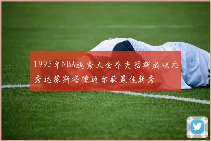 1995年NBA选秀大会乔史密斯成状元秀达蒙斯塔德迈尔获最佳新秀