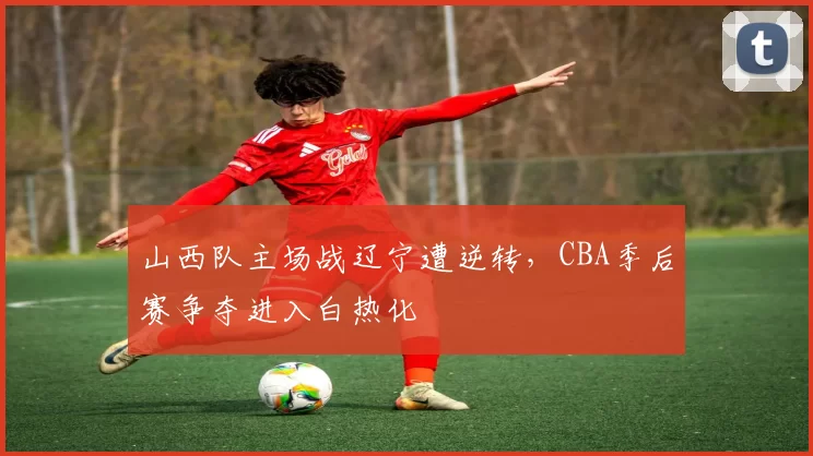 山西队主场战辽宁遭逆转，CBA季后赛争夺进入白热化