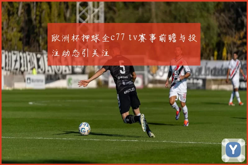 欧洲杯押球全c77 tv赛事前瞻与投注动态引关注