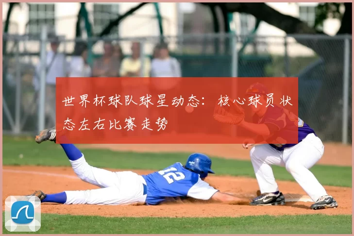世界杯球队球星动态：核心球员状态左右比赛走势
